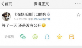 吃瓜爆料 com,揭秘娱乐圈幕后真相