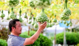 绍兴吃瓜爆料,揭秘当地美食背后的故事